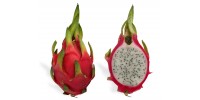 Dragon Fruit  (1Pc) ...