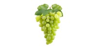 White Grapes-500gms...