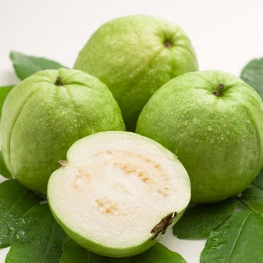 Guava-Taiwan (Kg)