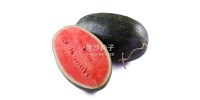 Watermelom -pc...