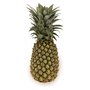 Pineapple  (1Pc)